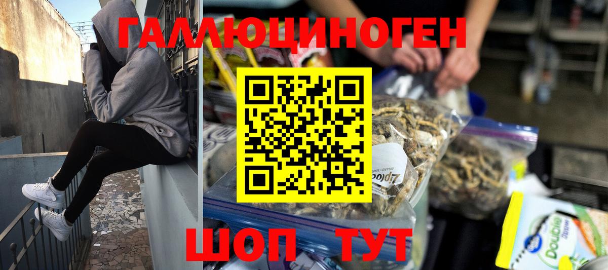 Алушта  Галлюциногенные грибы мухоморы  Вход с VPN  Галлюциногенные грибы Psilocybe 